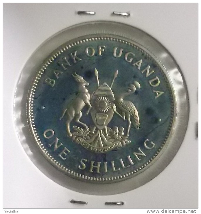 @Y@  Oeganda    1 Shilling  1966 BU    (2813) - Oeganda