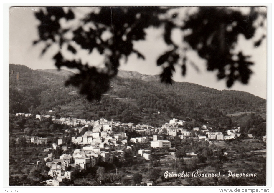 GRIMALDI - COSENZA - PANORAMA - 1965 - Cosenza