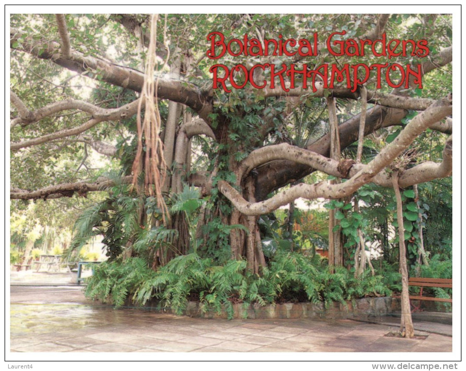 (211)  Australia - QLD - Rockhampton Botanical Gardens Trees - Rockhampton