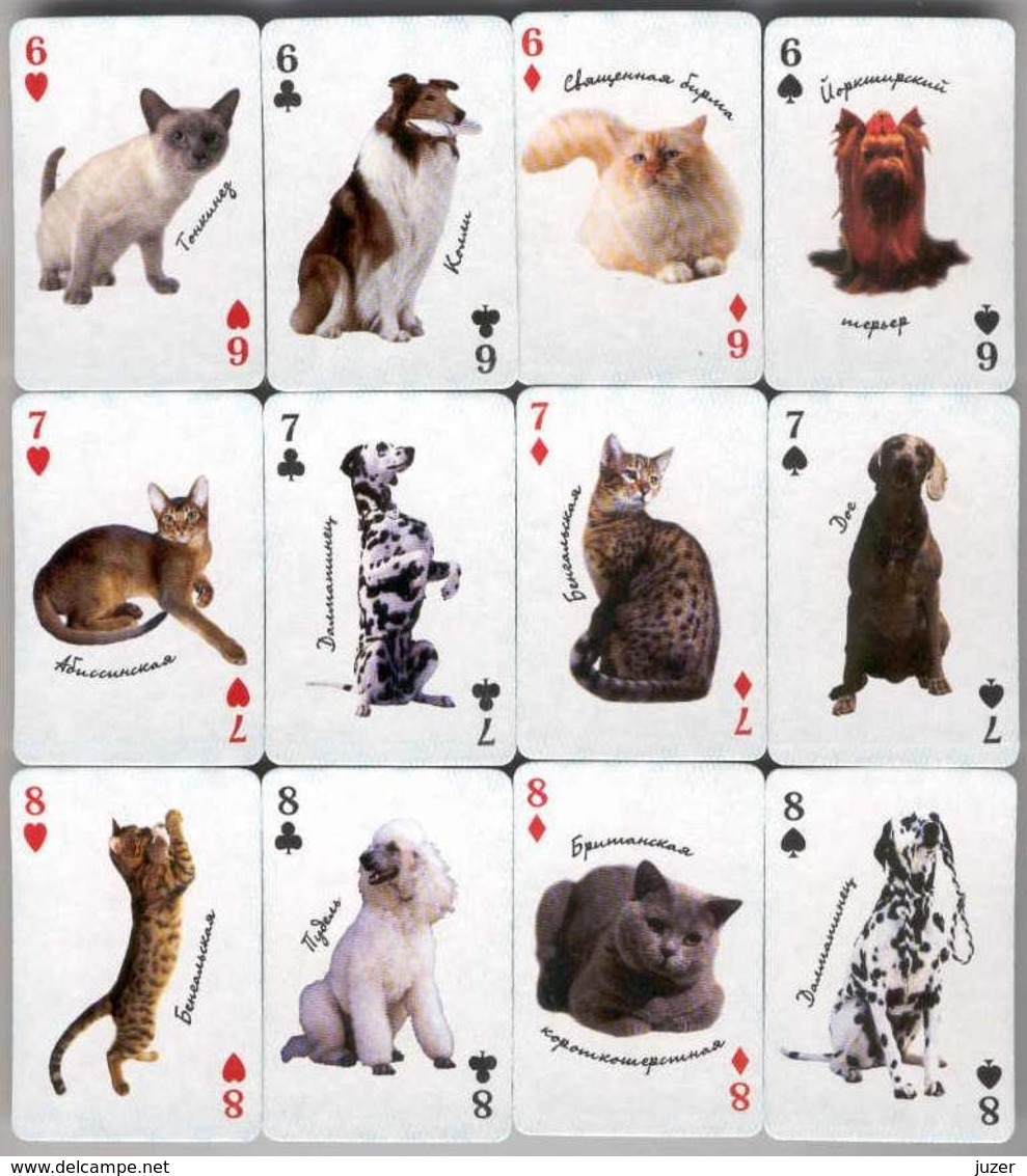 Russian Playing Cards DOGS & CATS (36) (2) - Playing Cards (classic)