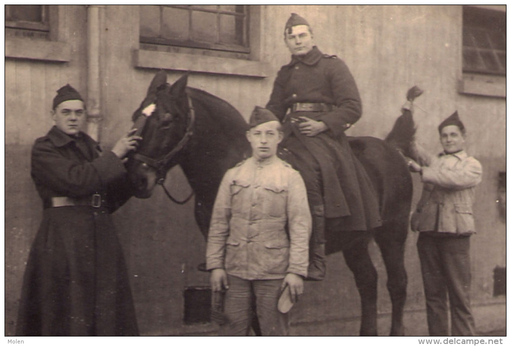 FOTOKAART CARTE PHOTO CAVALERIE SOLDATEN SOLDATS Paard Cheval Chevaux Cavalry Kavallerie Cavalleria Militaire WW1 3860 - Autres & Non Classés