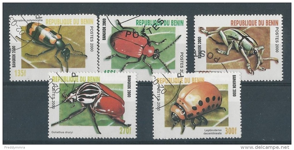 Bénin: Bangkok 2000 - 5 Timbres Oblit    -   Insectes - Autres & Non Classés