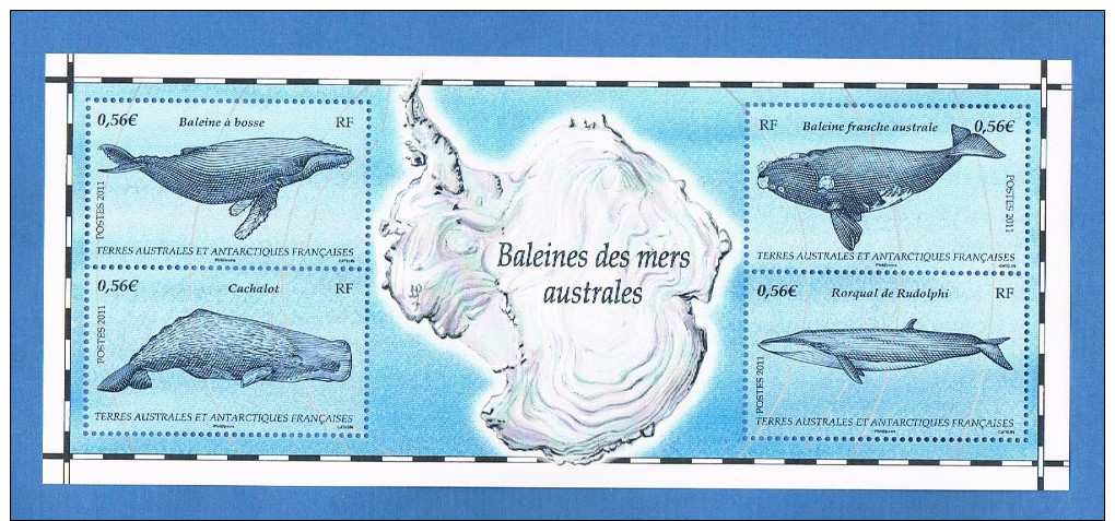 TAAF - Terres Australes Et Antarctiques Françaises - Année 2011 - Baleines Des Mers Australe - Neuf** - Blocs-feuillets