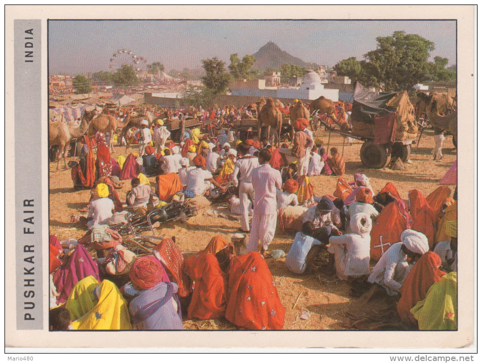 PUSHKAR  FAIR  A GENERAL VIEW OF THE FESTIVAL SITE     (NUOVA) - India