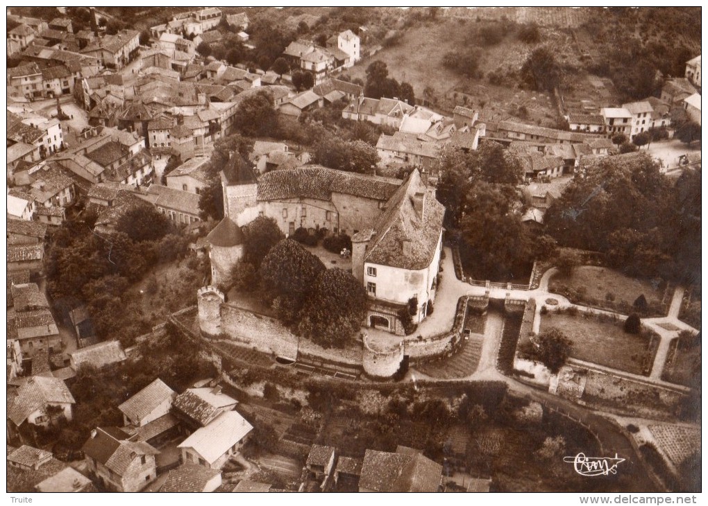 CHATELDON VUE AERIENNE LE CHATEAU - Chateldon