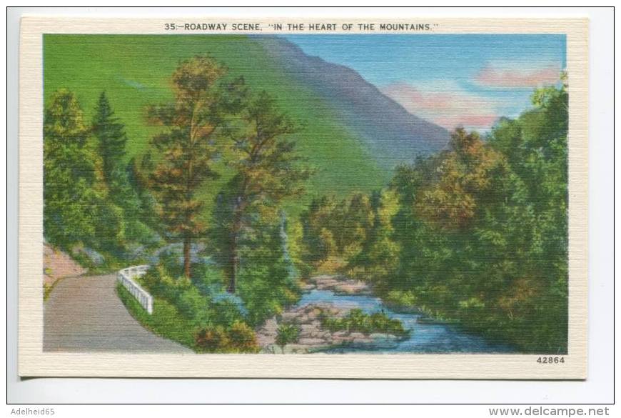 OE1/ Roadway Scene In The Heart Of The Mountains, Publ. Asheville Co. NC - American Roadside
