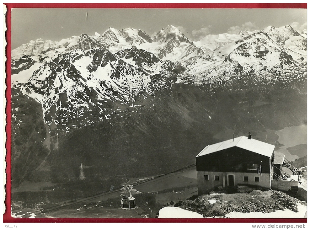 DDS-41  St.Moritz  Lufseilbahn Corviglia Piz Nair Blick Zur Berninagruppe. Stempel Celerina 1955 - Celerina/Schlarigna