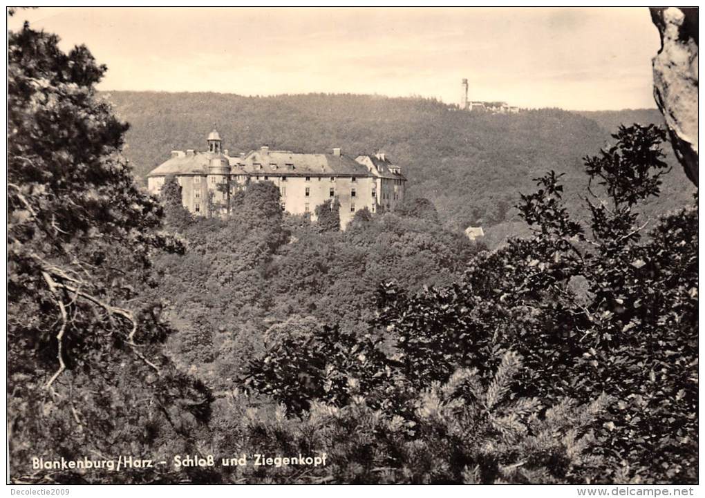 BG1817 Blankenburg Harz Schloss Und Ziegenkoph   CPSM 14x9.5cm Germany - Blankenburg