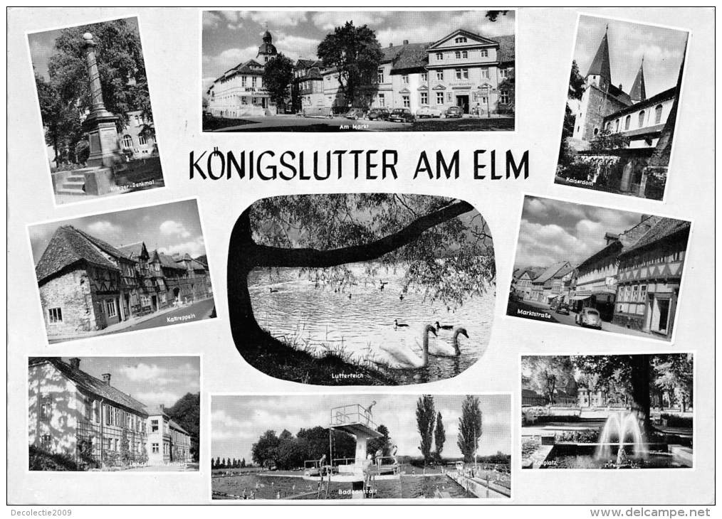 BG2019 Konigslutter Am Elm Cygne Swan  CPSM 14x9.5cm Germany - Königslutter