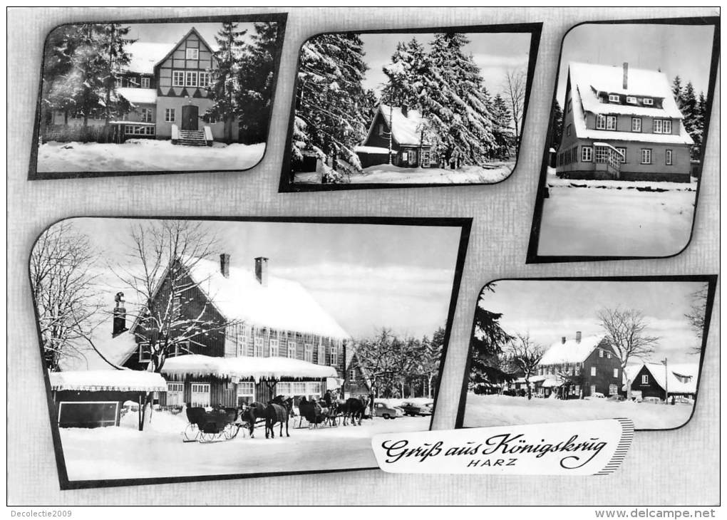 BG2136 Gruss Aus Konigskrug Bei Braunlage Harz   CPSM 14x9.5cm Germany - Braunlage