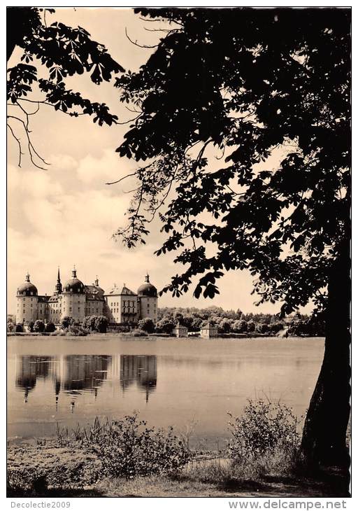 BG2487 Schloss Moritzburg Ostansicht   CPSM 14x9.5cm Germany - Moritzburg