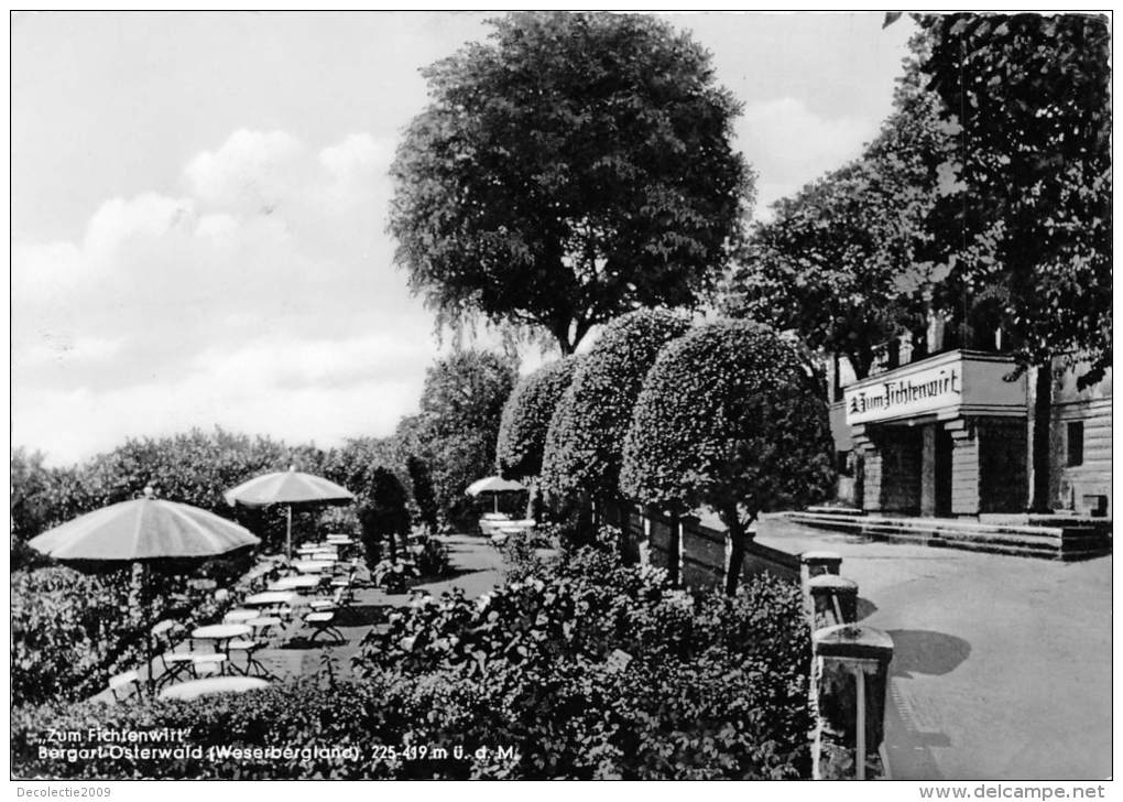 BG1207 Hotel Berggasthaus Zum Fichtenwirt Hameln Pyrmont   CPSM 14x9.5cm Germany - Hameln (Pyrmont)