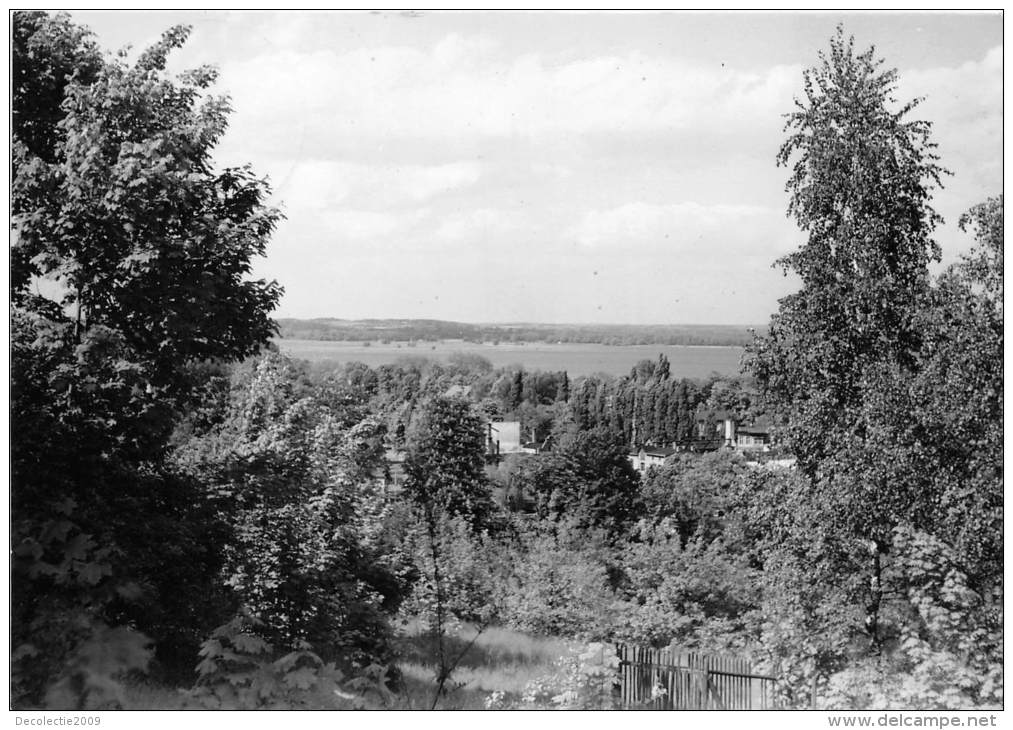 BG1292 Werder Havel Blick Zum Zernsee  CPSM 14x9.5cm  Germany - Werder