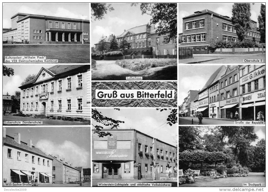 BG1508 Gruss Aus Bitterfeld   CPSM 14x9.5cm  Germany - Bitterfeld
