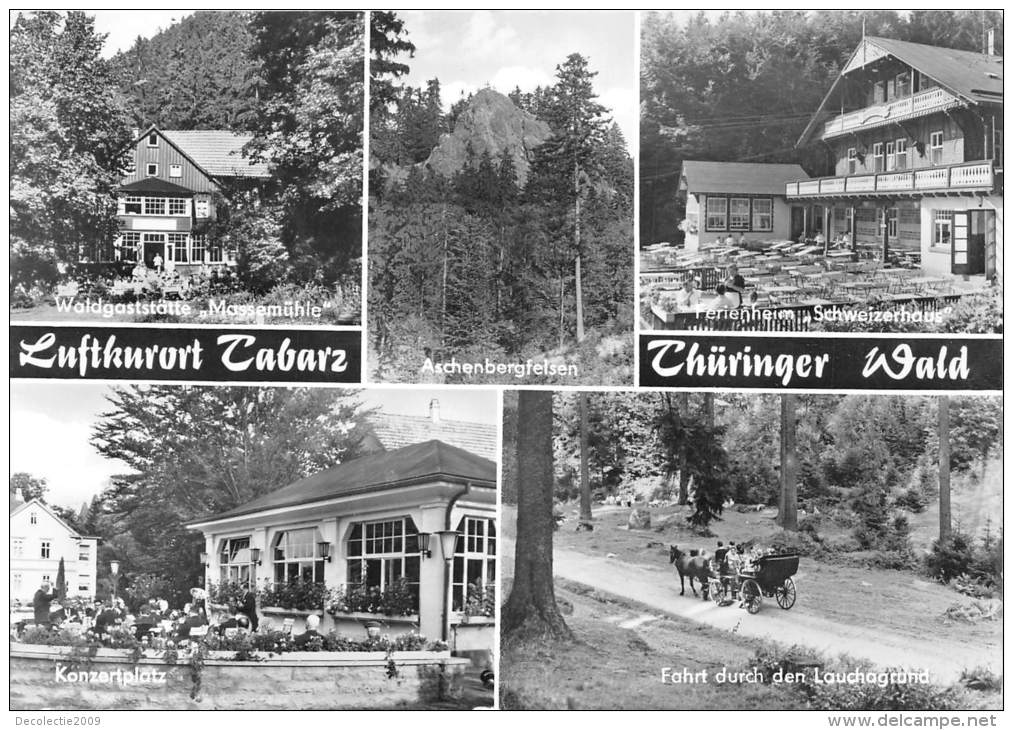 BG1544 Luftkurort Tabarz Thuringer Wald   CPSM 14x9.5cm  Germany - Tabarz