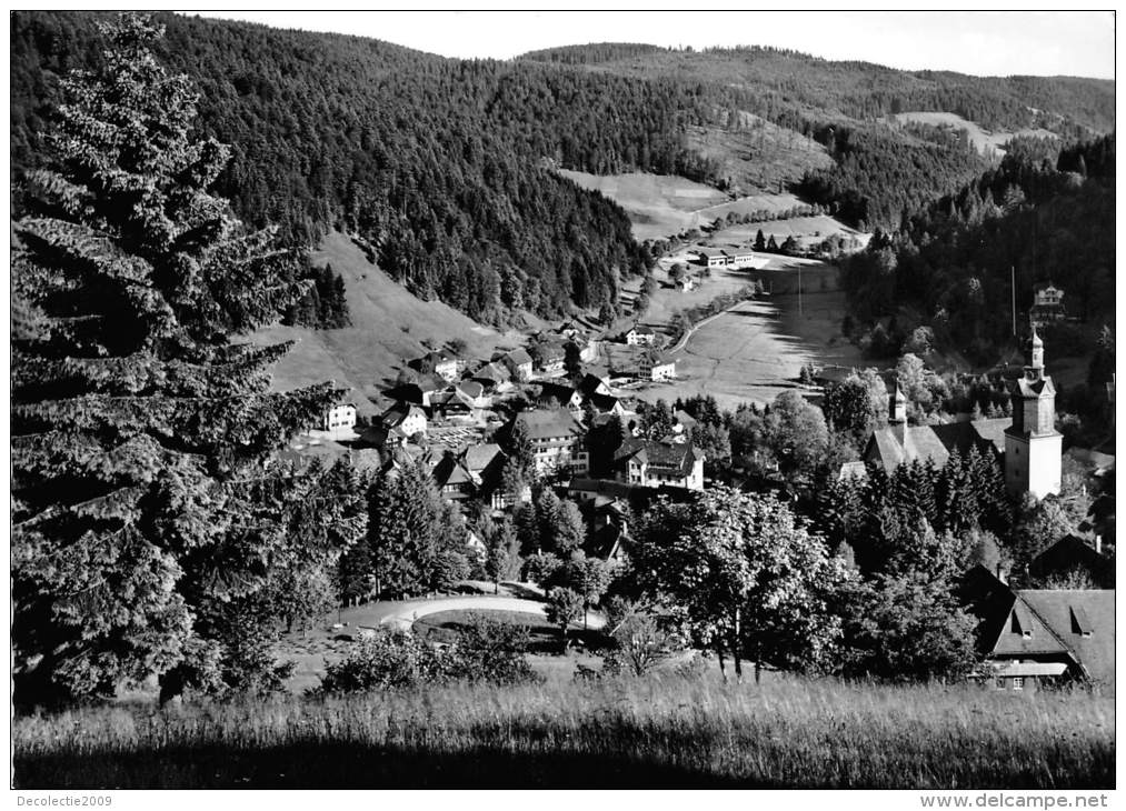 BG1699 Todtmoos Im Hochschwarzwald Vom Scheibenfelsen  CPSM 14x9.5cm  Germany - Todtmoos