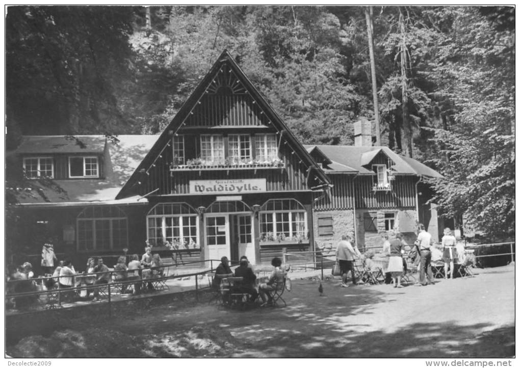 BG1760 Waldidylle Sachs Schweiz Hotel Gaststatte CPSM 14x9.5cm  Germany - Bastei (sächs. Schweiz)