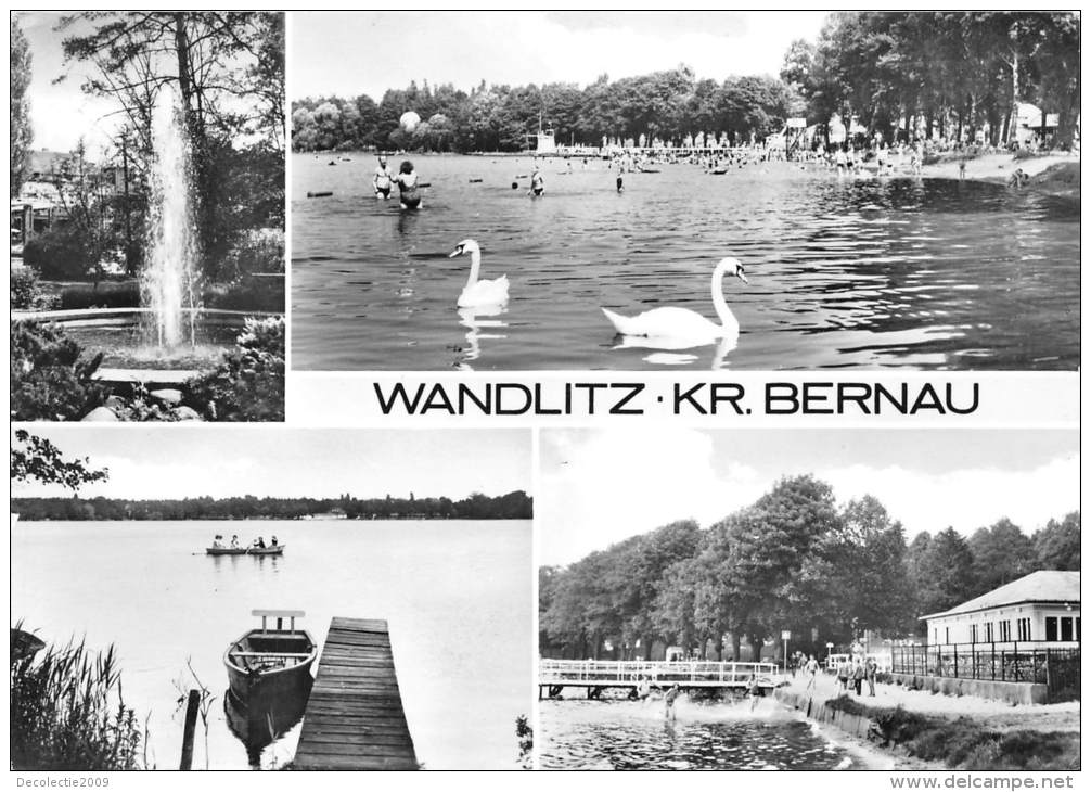 BG137 Wandlitz Kr Bernau Swan Cygne   CPSM 14x9.5cm Germany - Bernau