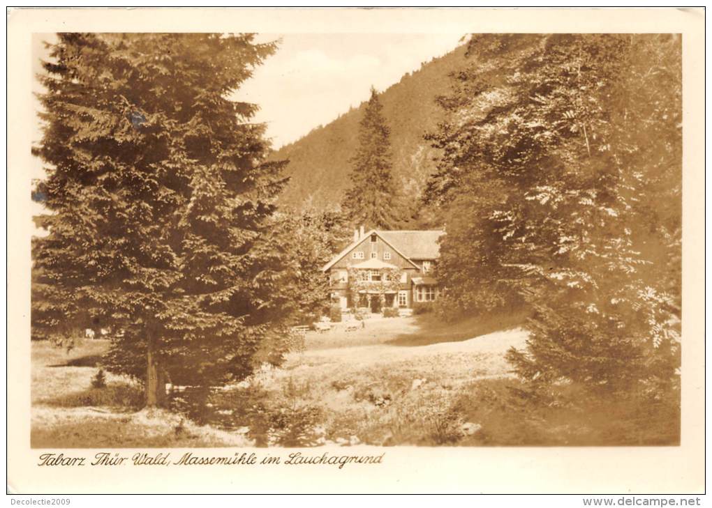 BG357 Tabarz Thur Wald Massemuhle Im Lauchagnund  CPSM 14x9.5cm Germany - Tabarz