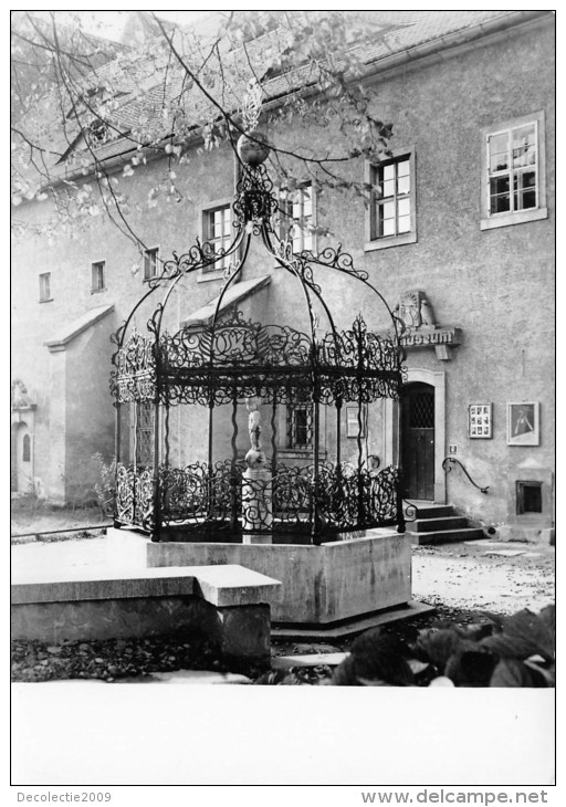 BG561 Zittau Museum   CPSM 14x9.5cm Germany - Zittau