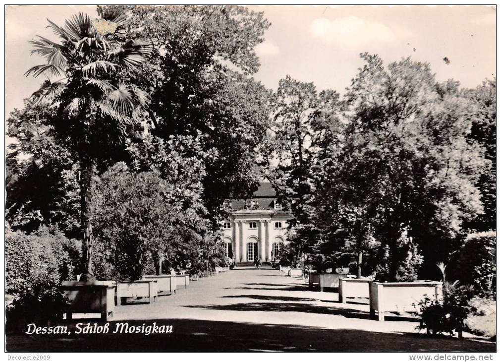 BG943 Dessau Schloss Mosigkau  CPSM 14x9.5cm Germany - Dessau