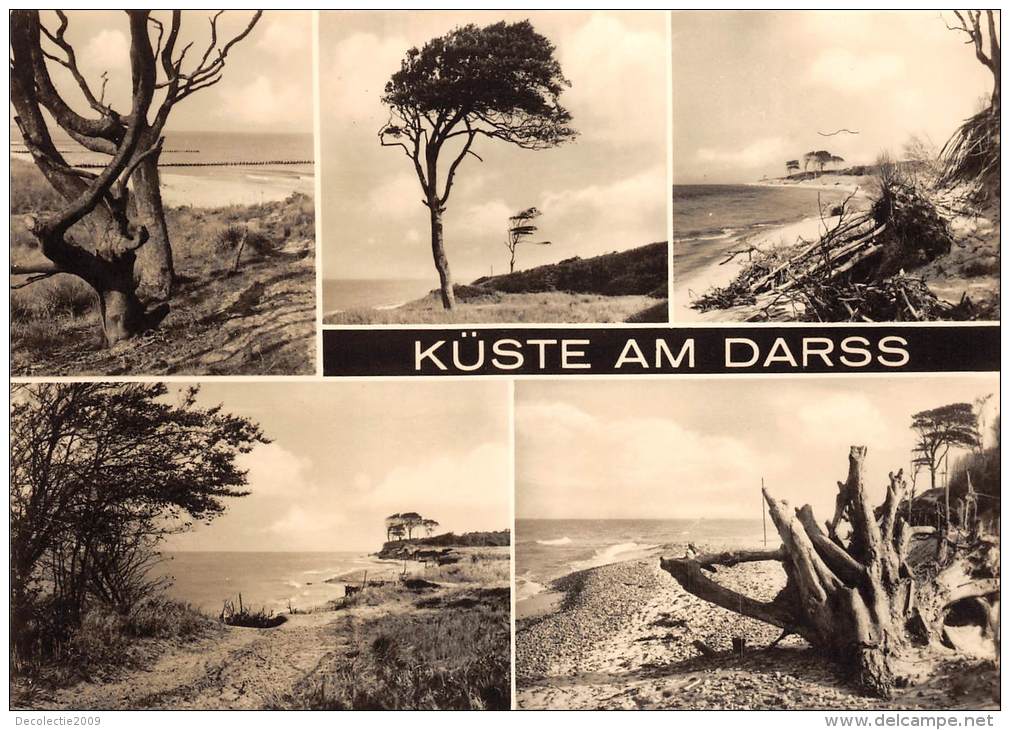 BG996 Kuste Am  Darss   CPSM 14x9.5cm Germany - Fischland/Darss