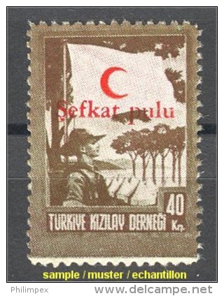 Turkey BOY SCOUT Topic Stamp 1949, VF MNH Hard To Find! - Timbres De Bienfaisance