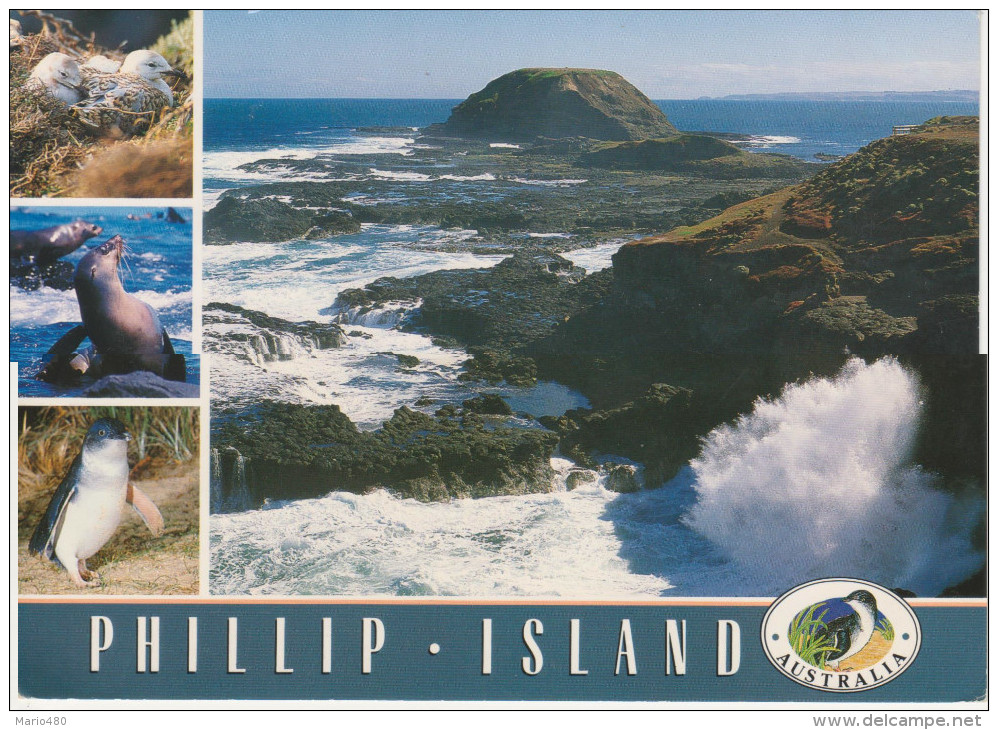 PHILLIP  ISLAND    VIEW  OVER  THE  BLOWHOLE  TO THE NOBBIES    (NUOVA)  MAXI CARD - Altri & Non Classificati