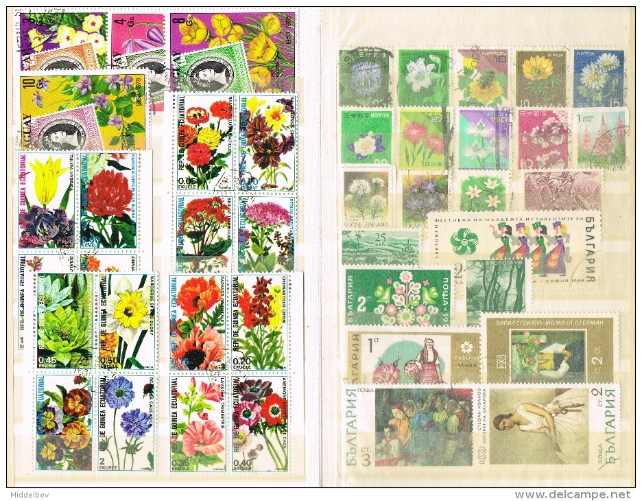 VR 122 KLEIN ALBUM MET WERELD VEEL THEMA BLOEMEN ZIE 9 SCANS - Collections (en Albums)