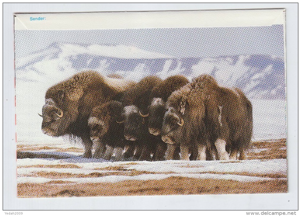 Greenland WALRUS WOLF RABBIT PHOTO LETTER MINT - Marine Life