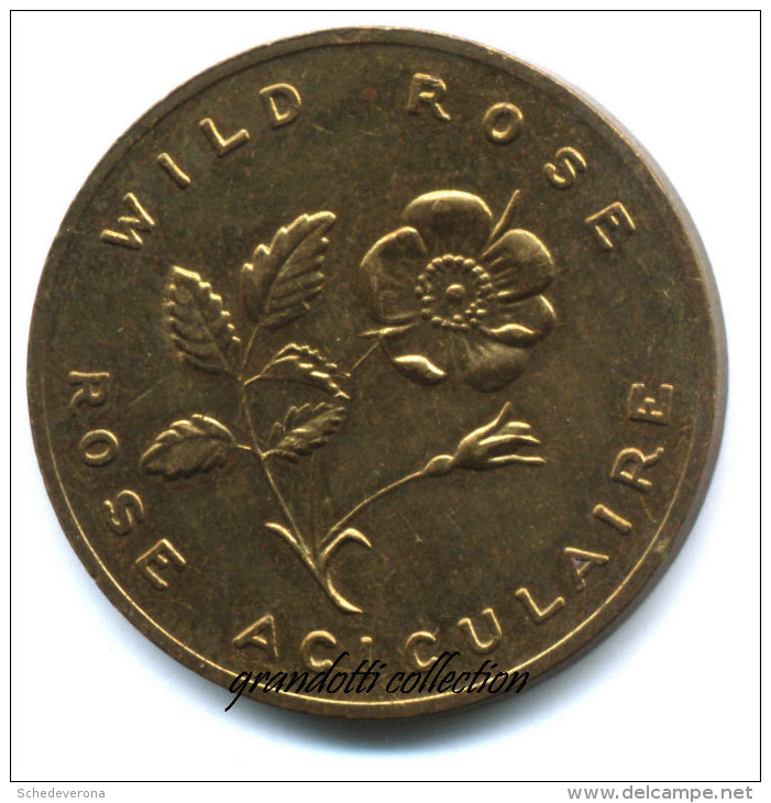 FIORI DEL CANADA WILD ROSE ALBERTA 1905 - Monetari / Di Necessità