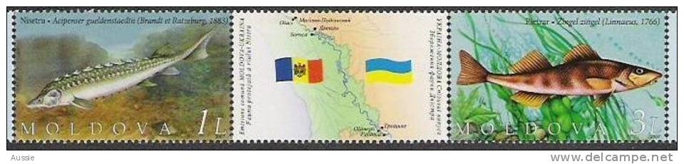 Moldavie Moldova 2007 Yvertn° 518-19 *** MNH Cote 4,20 Euro Faune Poissons Vissen Fish - Moldavie