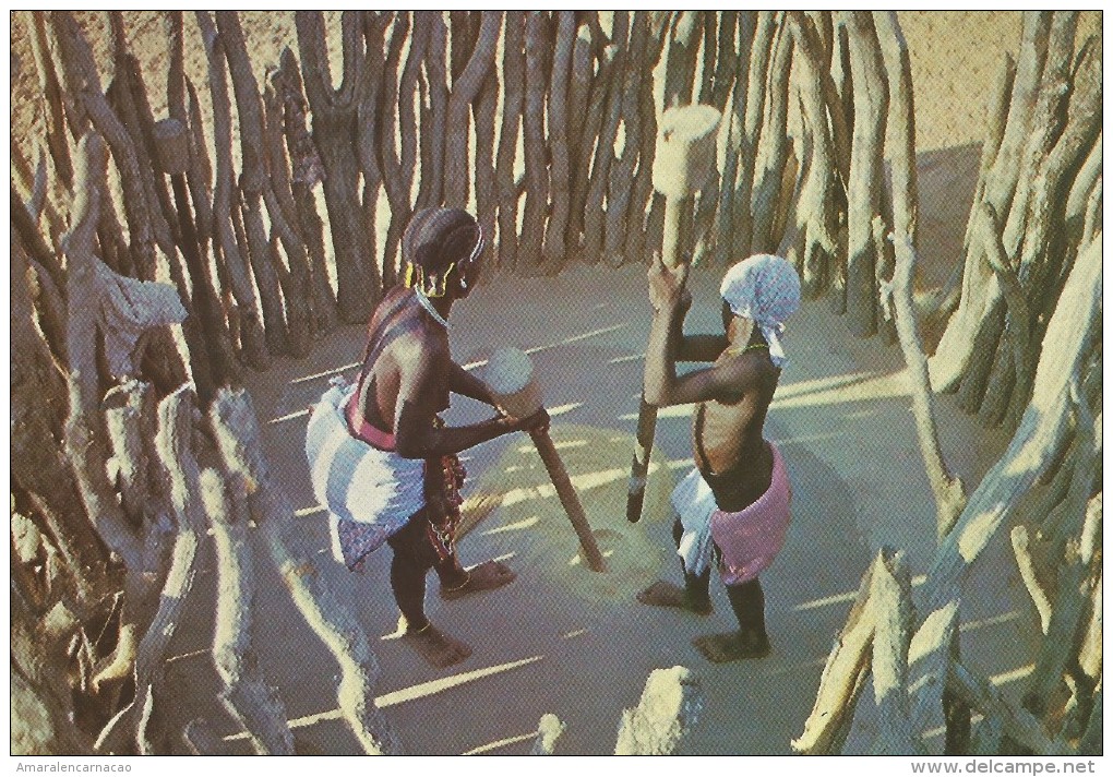 CARTE POSTALE-POSTCARD-POSTKART E-CARTOLINA POSTALE - ANGOLA - FEMME MUILA - Africa