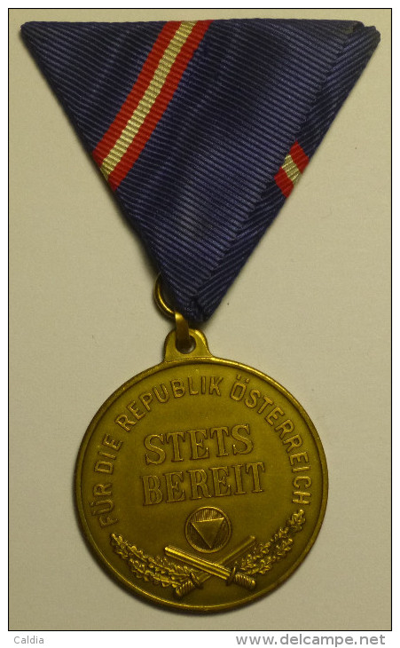 Autriche Austria Österreich 1963 "" Military Service "" Bronze Medal - Autriche