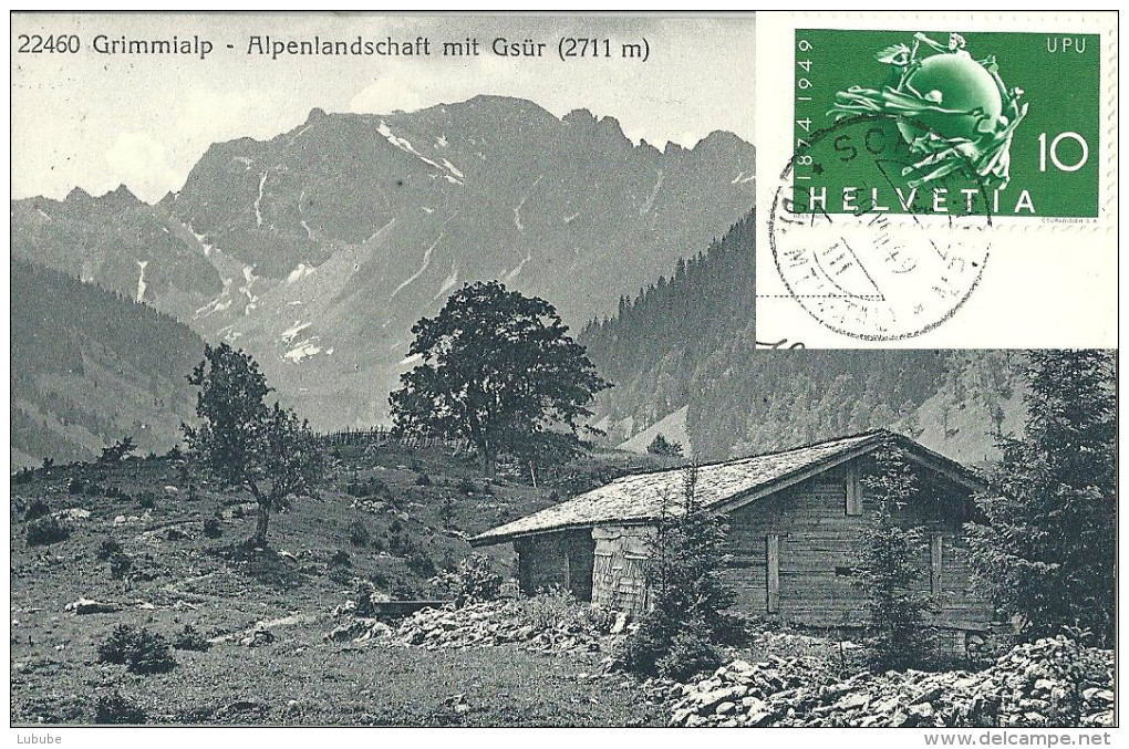 Diemtigtal - Grimmialp - Alpenlandschaft Mit Gsür            Ca. 1910 - Otros & Sin Clasificación