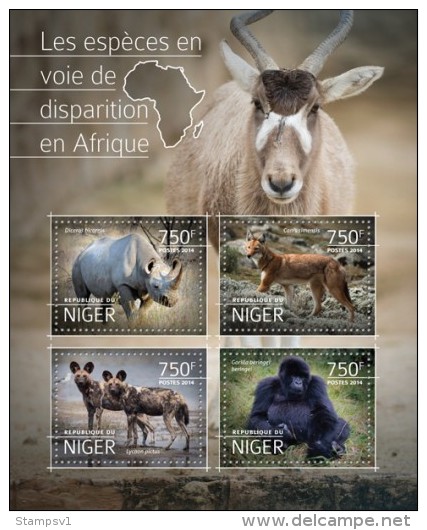 Niger. 2014 Endangered Species In Africa. (516a) - Gorilla's