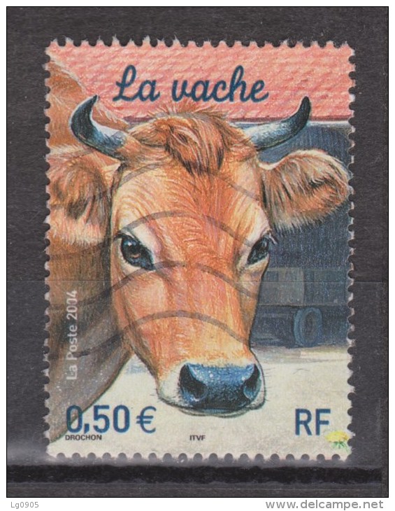 Frankrijk, France Used ; Koe, Cow, La Vache, Vaca 2004 - Koeien