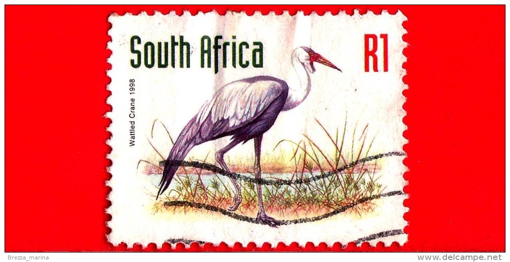 SUD AFRICA - 1998 - Animali - Gru - Wattled Crane - 1 - Usati