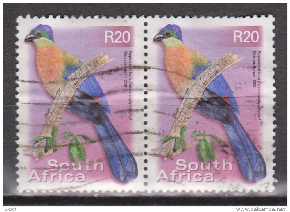 Zuid Afrika, South Africa Sud Africa Paar Pair Used ; Lorry Lourie Vogel Bird Ave Oiseau - Papegaaien, Parkieten