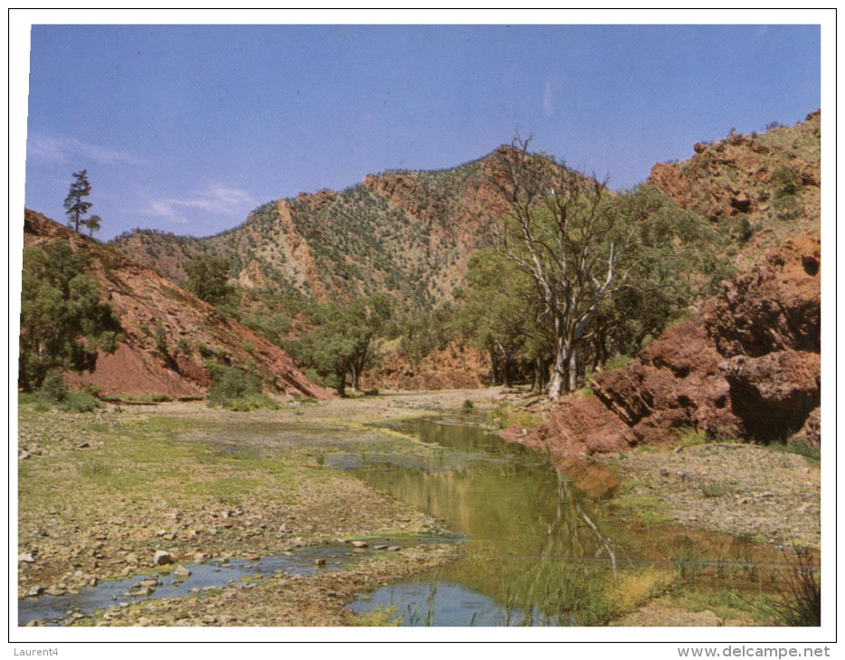 (799) Australia - SA - Flinders Ranges Brachina Creek - Flinders Ranges