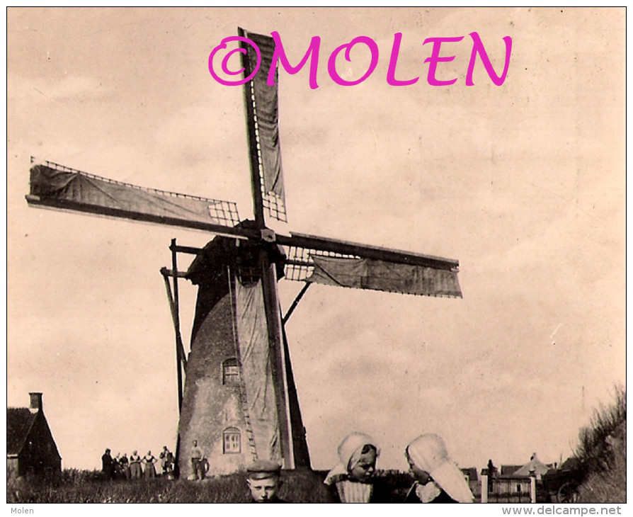 ZEEUWSE HONDENKAR MOLEN ZEELAND MOULIN ATTELAGE DE CHIEN * DOG DRAWN CART * HONDEKAR * VOITURE à CHIENS HUNDEKARRE 2963 - Shopkeepers