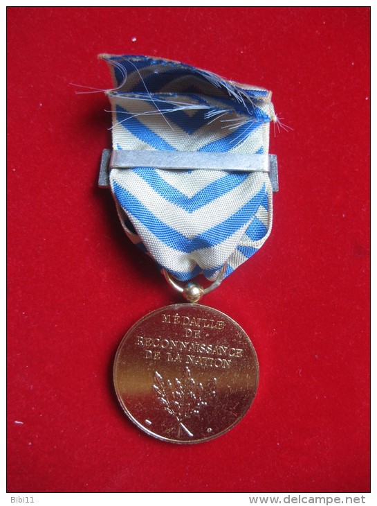 Médaille Et Boite RECONNAISSANCE DE LA NATION  Avec Barrette INDOCHINE - France