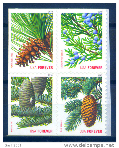 USA 2010  Estados Unidos / Pine Trees Christmas MNH Navidad Nöel Arboles / C8127   34 - Bäume