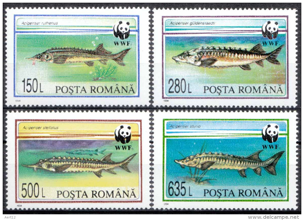 ROMANIA, 1994, Fish, World Wildlife Fund, W.W.F., WWF, Vasarhelyi, MNH (**), LPMP/Sc 1359/3954-57 - Unused Stamps