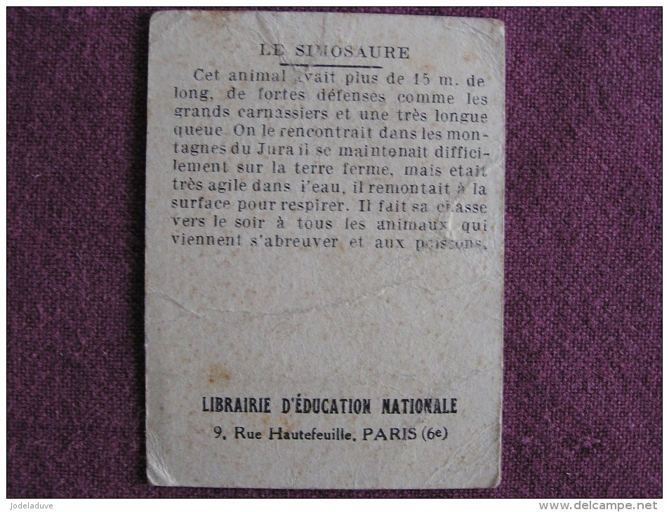 SIMOSAURE Animal Animaux Chromo Librairie D'éducation Nationale Educatif Trading Card Chromos Vignette - Other & Unclassified