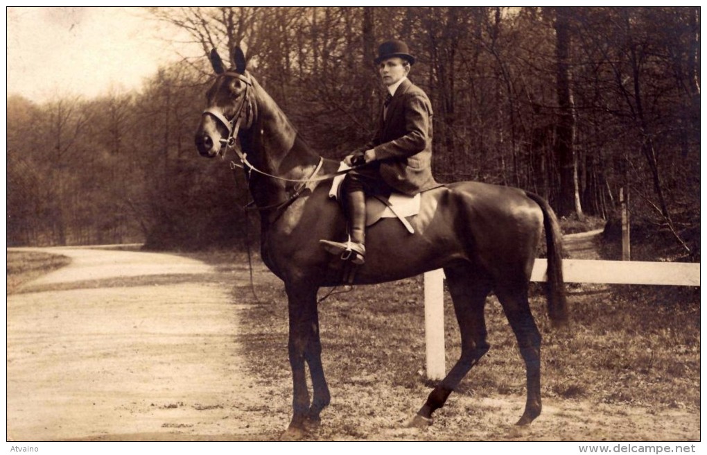 Real Photo Postcard - Draft Horse - Cavalli