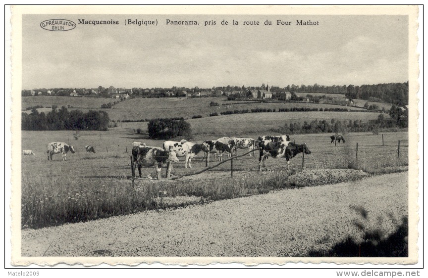 MACQUENOISE (6593) Panorama Pris De La Route De FOUR MATHOT - Momignies