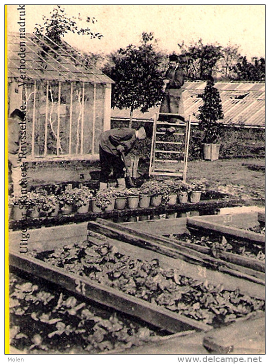 ECOLE HORTICULTURE VUE DES SERRES – BLOEMHOF BROEIKAS WELDADIGHEIDS-SCHOOL Ca1900 = RUISELEDE 1016 - Autres & Non Classés