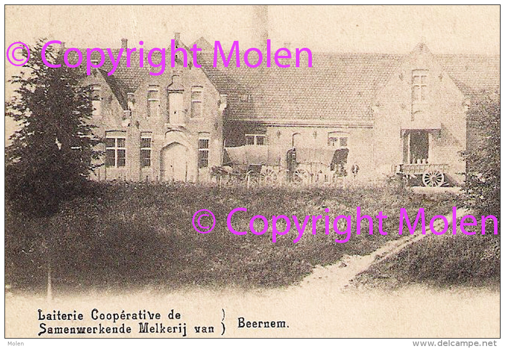 Topkaart SAMENWERKENDE MELKERIJ BEERNEM Ca1900 LAITERIE COOPERATIVE Phot Van Parys-Eeckeman ATTELAGE KAR 1775 - Beernem