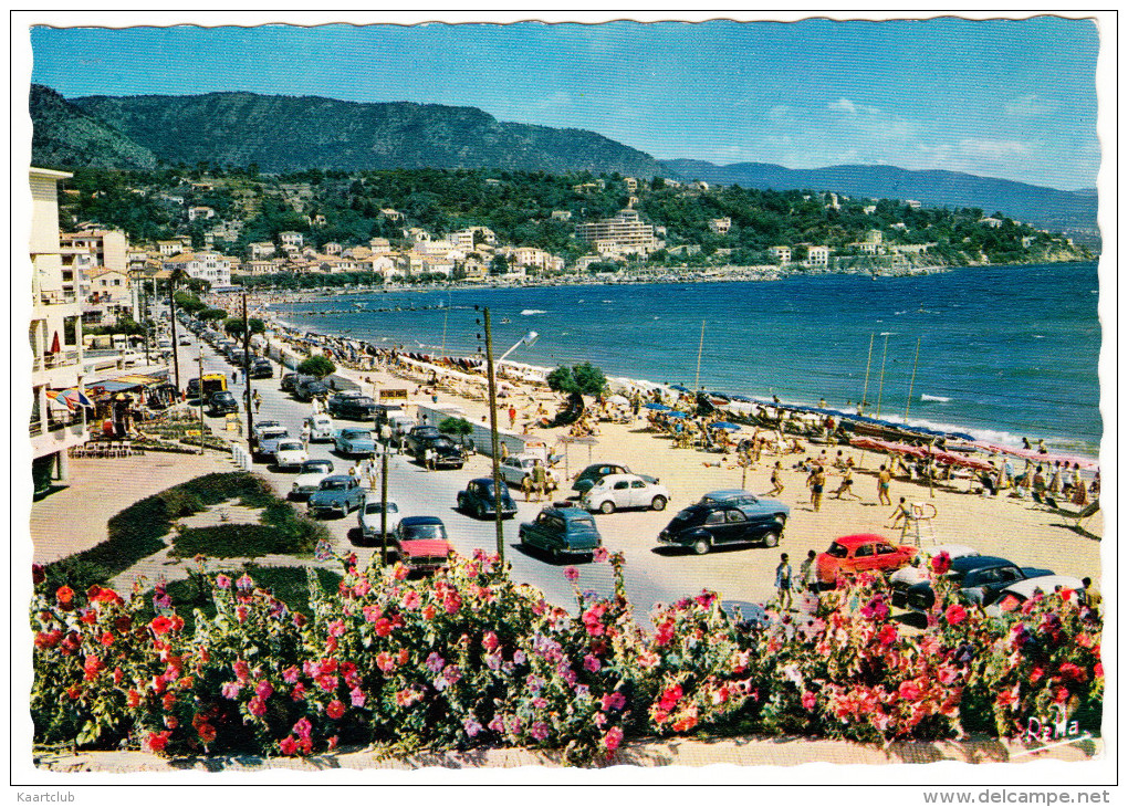 Le Lavandou: SIMCA ARIANE, ARONDE & CHATELAINE, PEUGEOT 203, RENAULT DAUPHINE & 4CV, CITROËN 2CV & DS - Plage  (F) - Passenger Cars